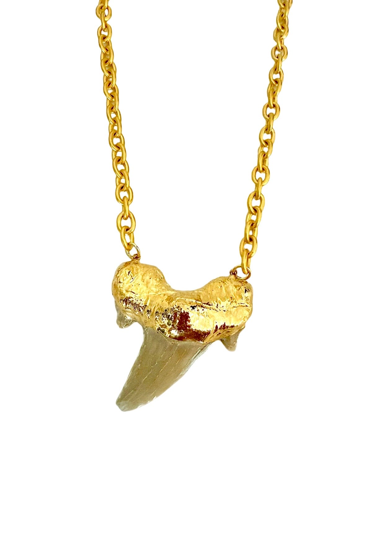 Shark Bite Necklace